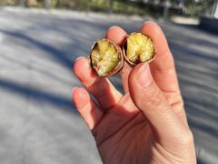 -秋栗香(地安门店)