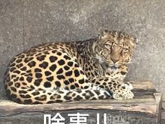 -西安秦岭野生动物园