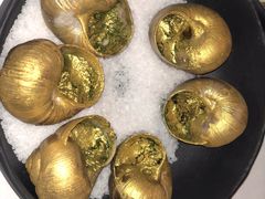 -金蜗牛
