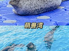 -海合安天津极地海洋公园