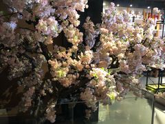 -致明德素食餐厅(土屋路店)