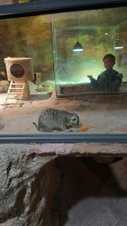 -酷嗒动物文化乐园(cutezoo西溪乐天城店)