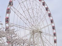 -顾村公园