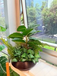 -初心はつ こころ日式美甲美睫沙龙