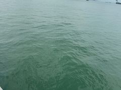 -鼓浪屿钢琴博物馆