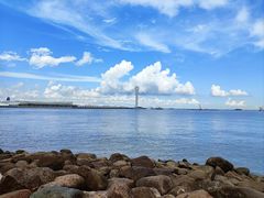 -上海吴淞炮台湾国家湿地公园