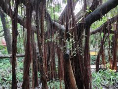 -台山颐和温泉城