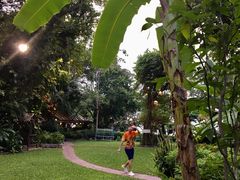 -卷心菜和避孕套餐厅(Pattaya)