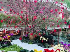 -广州白天鹅宾馆