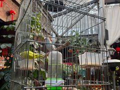 -束河人家(南锣鼓巷店)