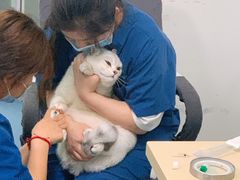 -仁普宠物诊所(住友昌盛新苑店)
