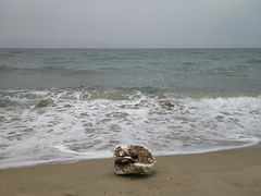 -海云台海滩