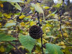 -啊噗吐呦现场烘焙(麦凯乐店)