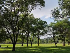 -承德避暑山庄景区
