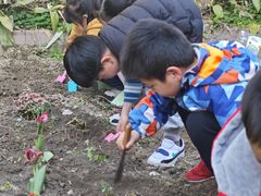 -上海浦东新区民办小白鸽幼儿园