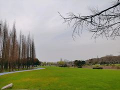 -宜兴龙背山森林公园