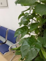 -成都西区医院整形美容