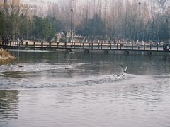 -前关湿地公园