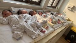 点击看大图 -海豚湾高端月子会所(黄浦店)