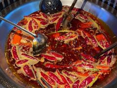 -辣伍鲜毛肚老火锅(元一店)