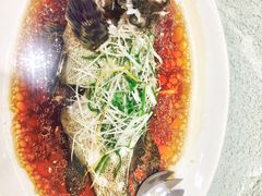 -頂好酒家·经典粤菜(海信广场店)