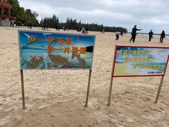 -东郊椰林