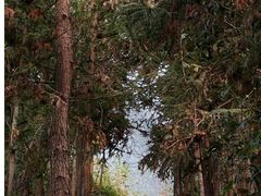 -梅州天地人花园酒店(梅县人民广场店)