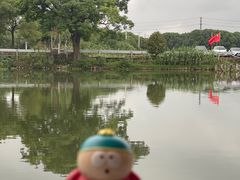 -水岸居湖景农家乐·阳澄湖大闸蟹