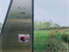 -桤木河湿地公园