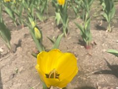 -长春公园(普阳街道)