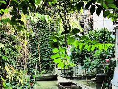 -小洲村