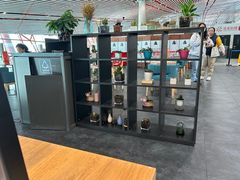 -肯德基(机场三店)