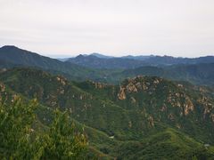 -大岭沟猕猴桃谷风景区