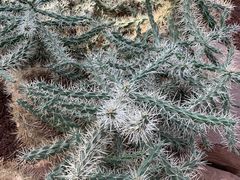 -南通洲际绿博园