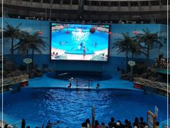 -海合安成都极地海洋公园