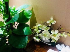 -菩提慧宾养生堂(梦幻亮点世界公园店)