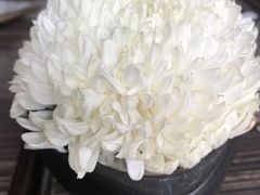 餐具摆设-Ruen Urai