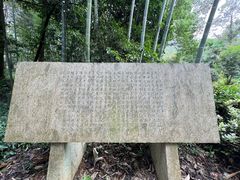 -大奇山国家森林公园
