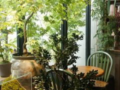 -自由生长植物工作室(深港花卉中心店)