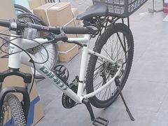 -GIANT捷安特自行车专卖店(金桥台儿庄路店)