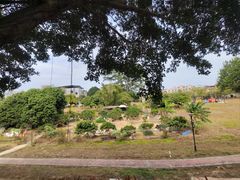 -风云岭森林公园