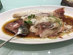 东星斑-骏莱海鲜鱼港(五角场店)