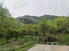 -杭州半山国家森林公园