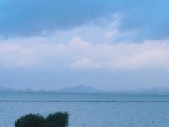 -贡湖湾湿地公园