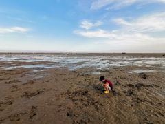 -日照灯塔风景区