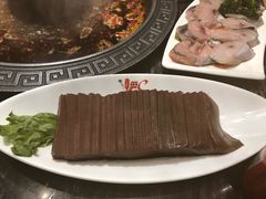 -杨肥肠火锅大排档(火车站花园店)