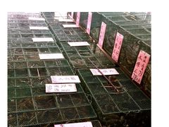-荔城生鲜盛宴(番禺旗舰店)