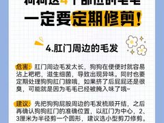 -守诺宠物医院·眼科· 特色牙科·异宠专科(虹口店)