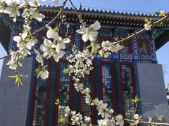 -国家图书馆·古籍馆