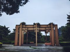 -顺峰山公园
